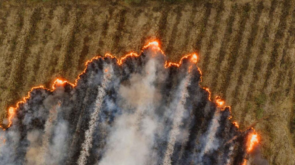 וילונות אש ועשן