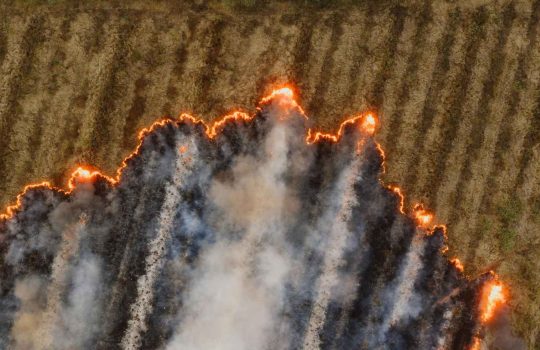וילונות אש ועשן2